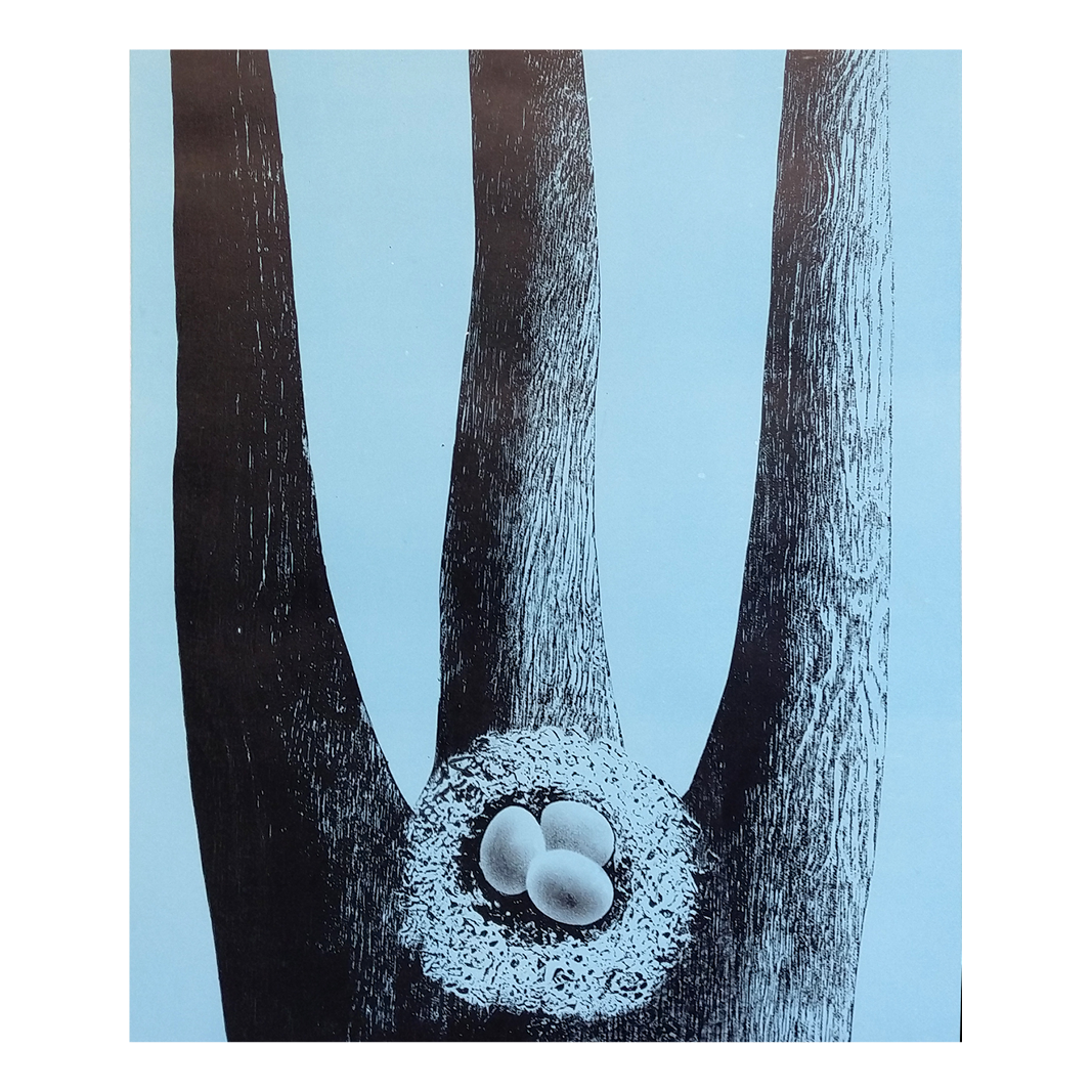 Drømmen om vinger III - Trine Lindheim