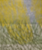 Pollination I