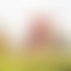 サッカーでSDGsも始めよう。