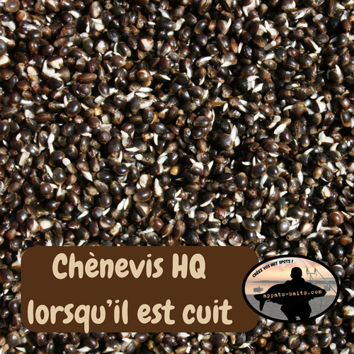 Sensas – Amorce Chènevis Cuit En Boîte 350 G – Pour Pêche Sportive