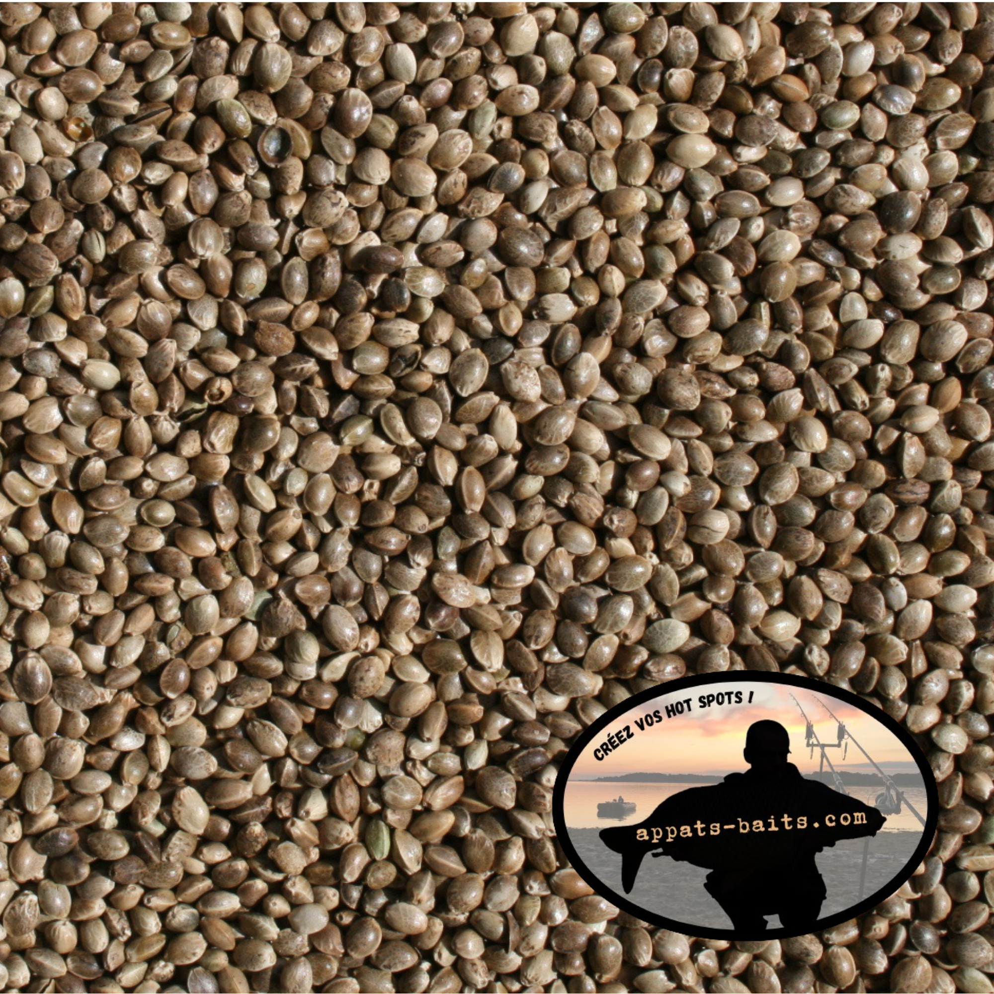 CHENEVIS d'amorçage HQ - 8kg