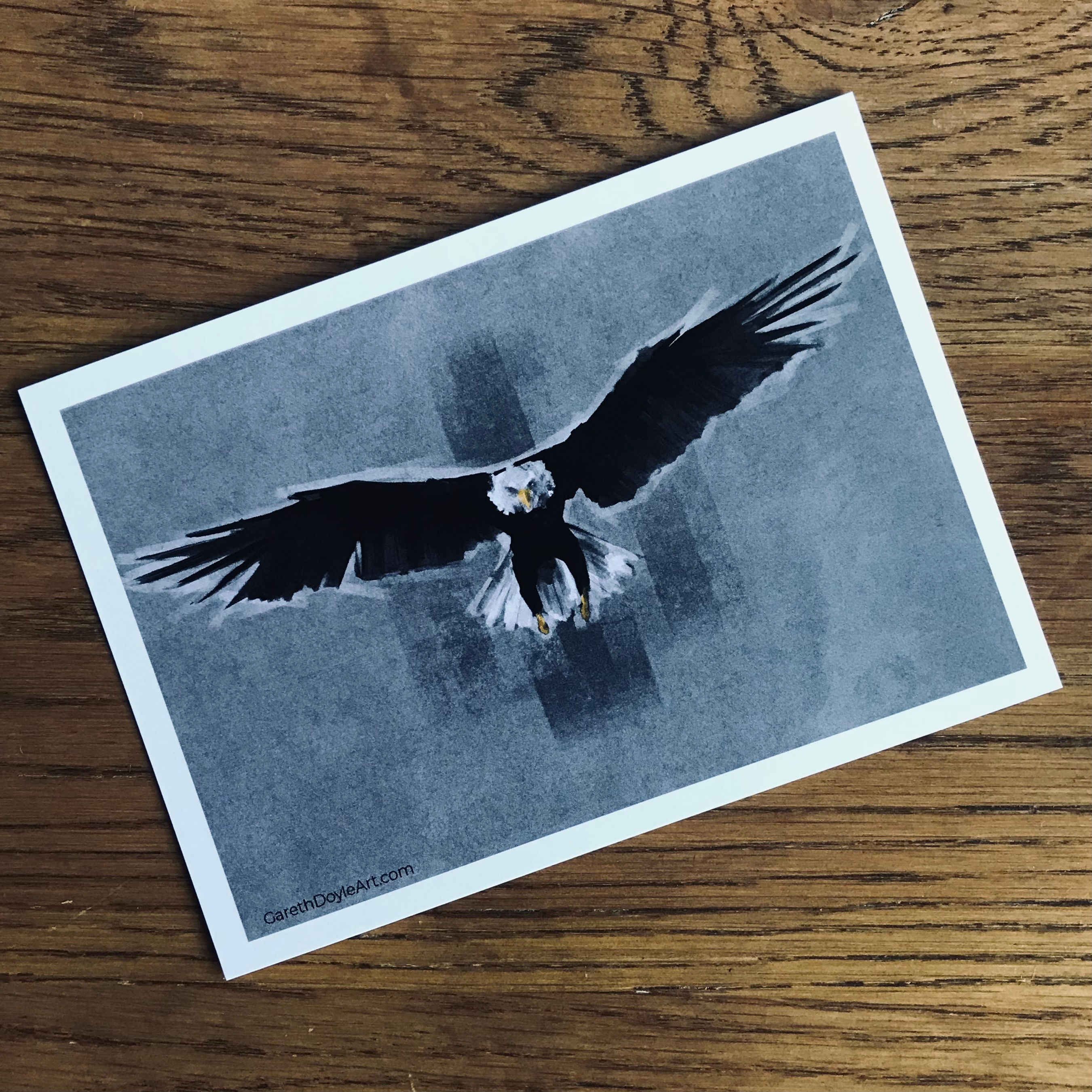 Bird of Prey A6 Postcard