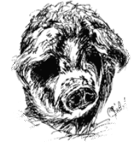 cropped-logo_schwarz_feather.gif