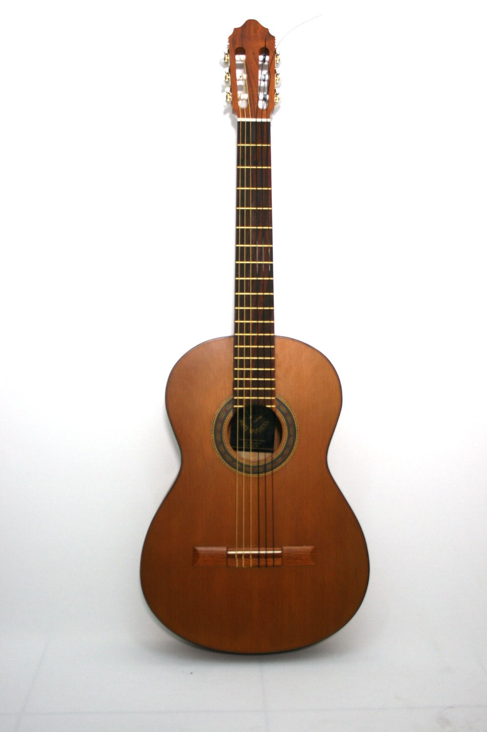 Guitarra palo escrito