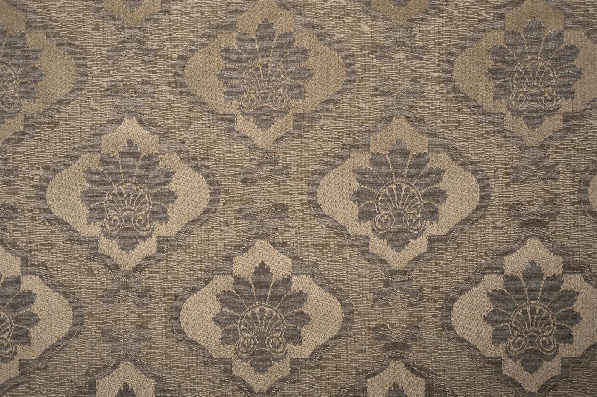 BELLA PART 5/6 MAIN COLLECTION