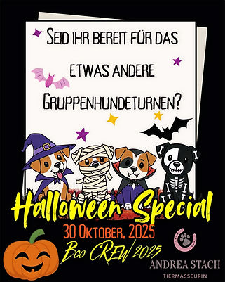 Bild zu Halloween Event, BooCrew 2025, verschieden verkleidete Comic Hunde