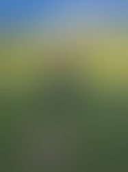 Opening of the Green - 15-4-26