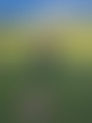 Opening of the Green  -  15-4-26