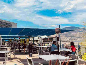 The Barking Parrot Bar