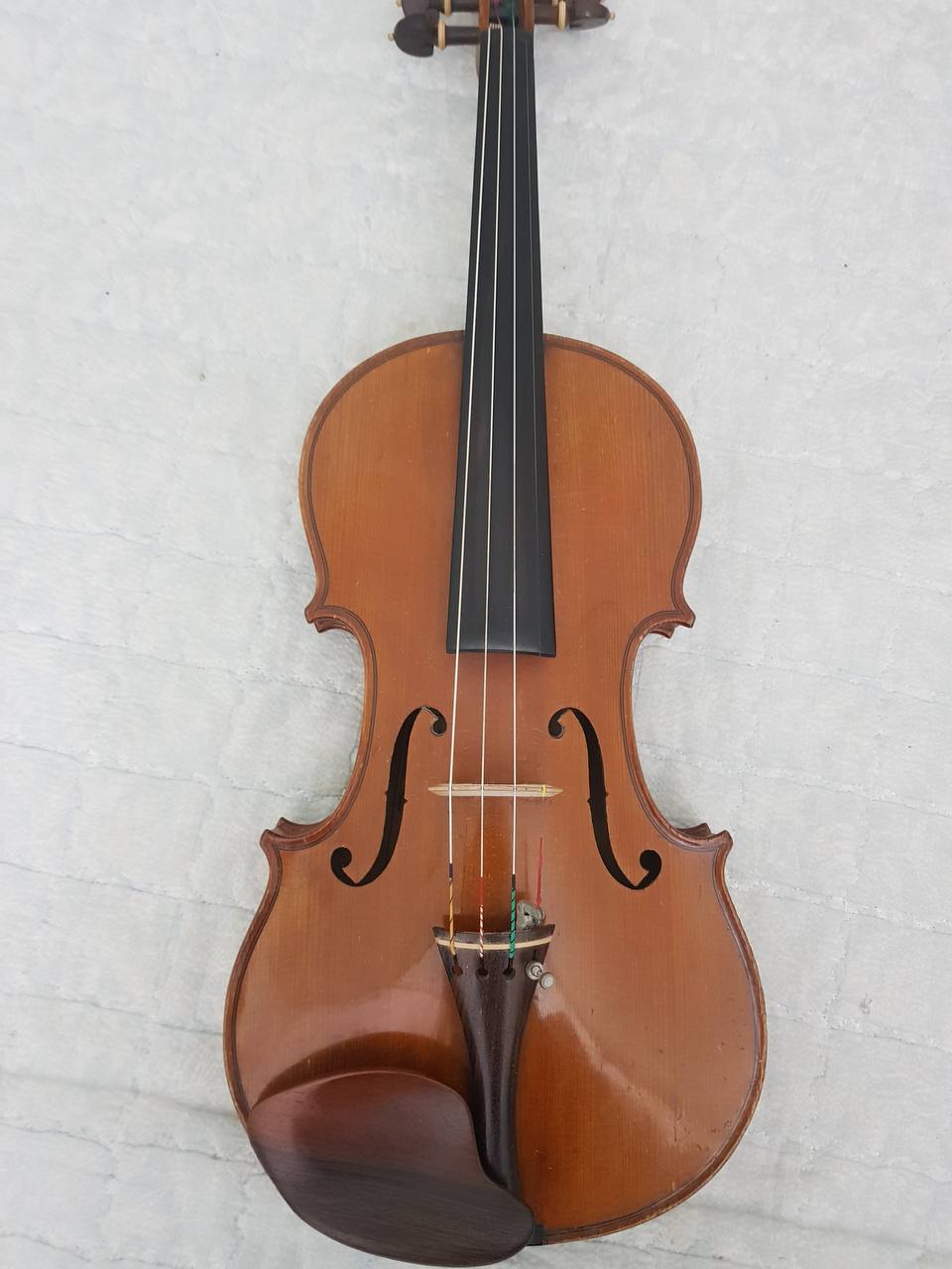 IMAGE 2025-09-04 16_00_50.jpg