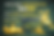 IMG_2178.PNG