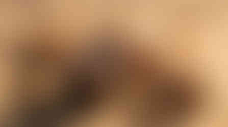 eremos serum packaging on sand surrounded by myrrh resin