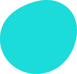 Asset 1.png