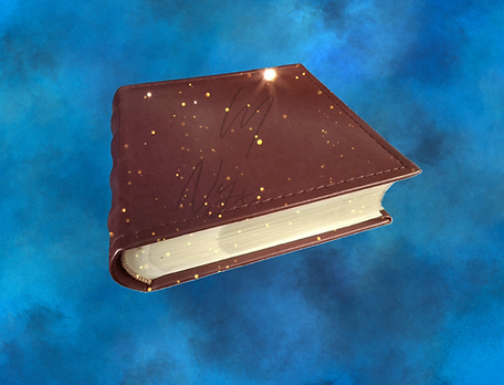 sparkle flat book