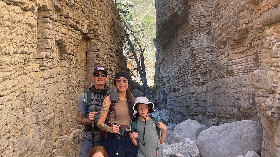 Eye-level view of a lush garden with vegetables and herbs growing