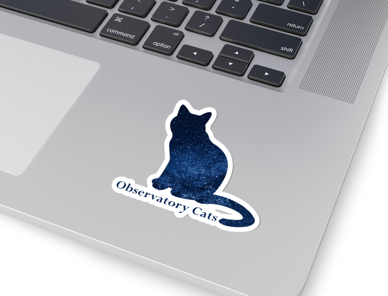 Galaxy Cat Sticker