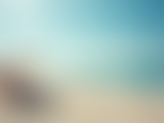 Gestion des risques dans le secteur du tourisme