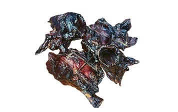 LARGE BEEF FEMUR (7).png