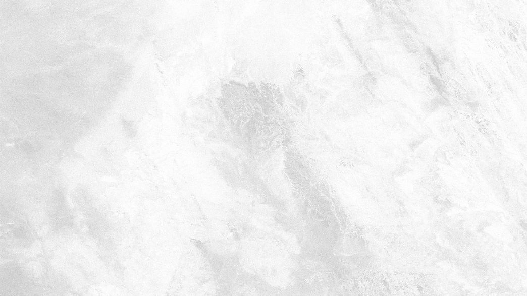 White Background_edited_edited.jpg