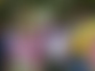 चर्च से प्रेम, शांति और सेवा का परिचय होता हैं : जोबा माझी