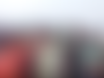 धानापाली पुलिया पहुंची पूर्व सांसद गीता कोड़ा, डीसी से बात कर बंद खुलवाने की मांग की