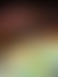 Discover the Magic of Animated Sandbox: A Hands-On Experience in Learning and Play