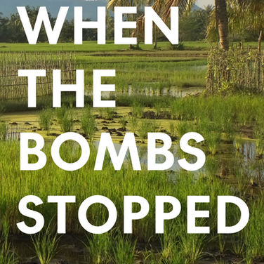 A Look Behind the Book: When The Bombs Stopped