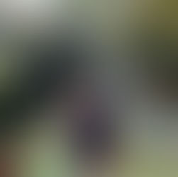 Visiting Laos 5 Decades after the Bombings