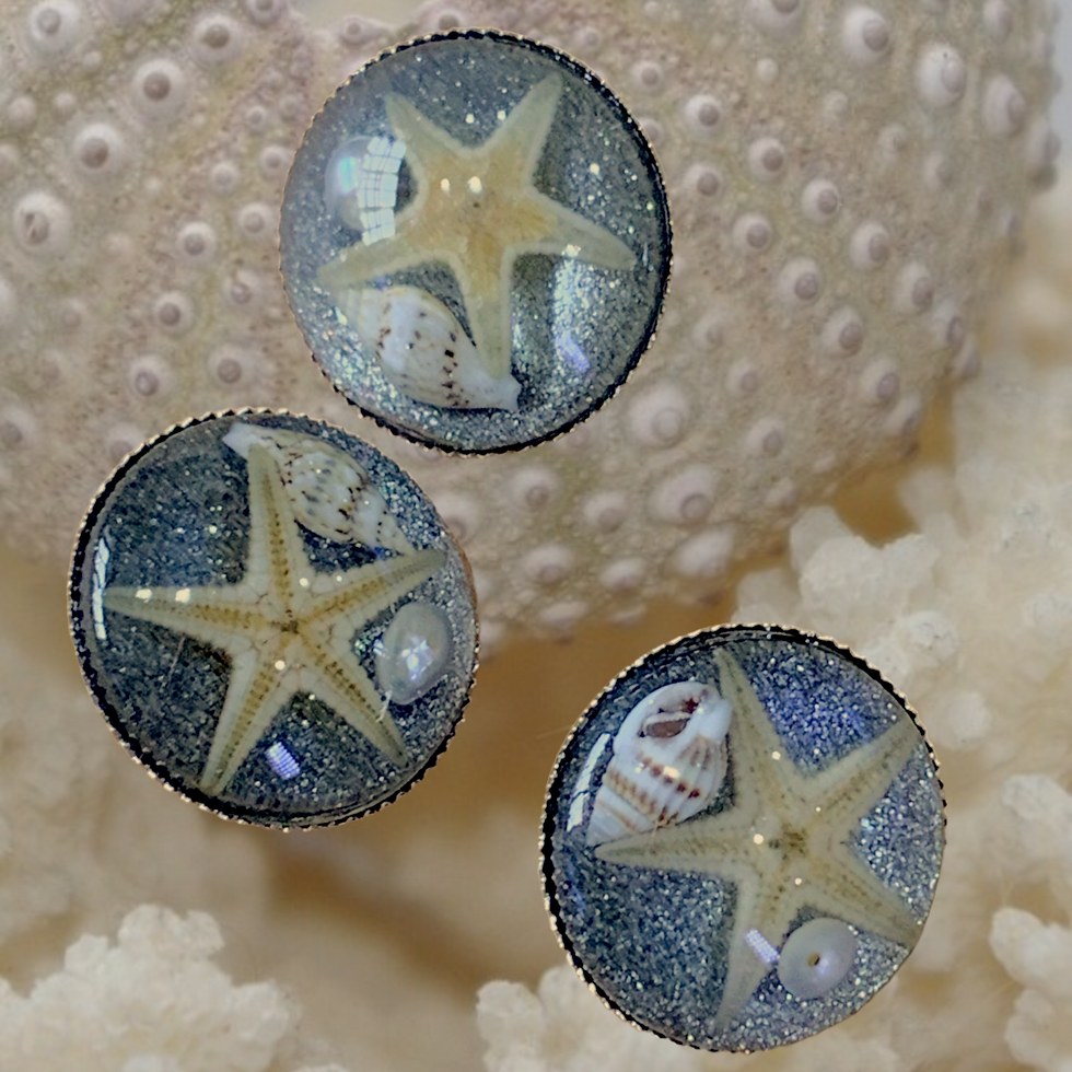 Thumbnail: Set of x2 'Rockpool' buttons, seashells, 20mm, shanked silver metallic back