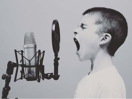 How to Create a Voice Over Demo at Home (Beginner Guide)