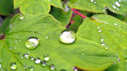 439342427_3706740349644882_6588328584864619861_n_edited