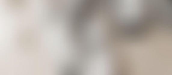 THE ORDINARY: COSA SAPERE PRIMA DI SCEGLIERE