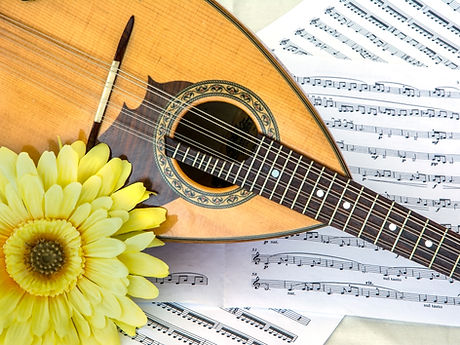 Mandolin実物.jpeg