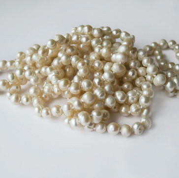 Annotations - Finding Charlotte