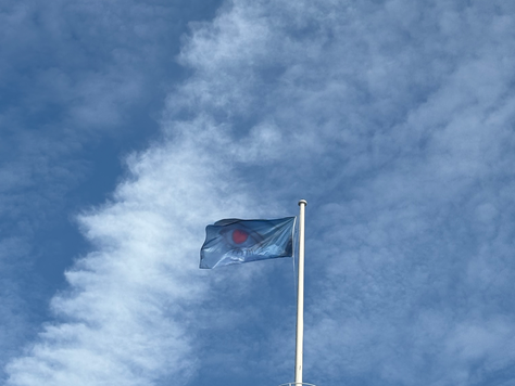 Tai Shani's The Spell or The Dream: A Conscious Take on the Unconscious