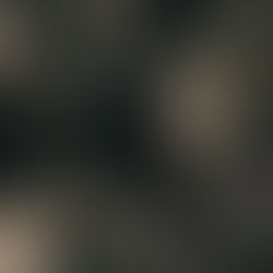 The Return Of The Past: Why We Keep Wearing our Memories