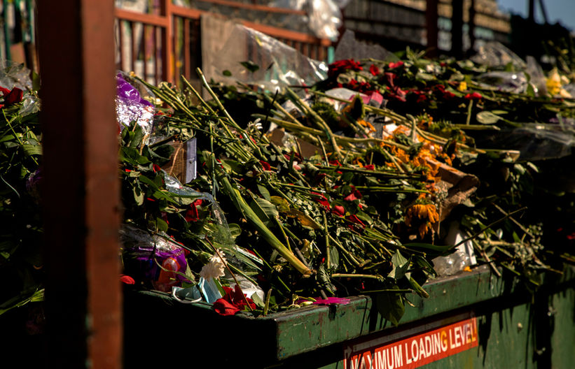 dead flowers piled high in a skip