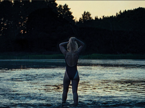 the chronology of water (2025)