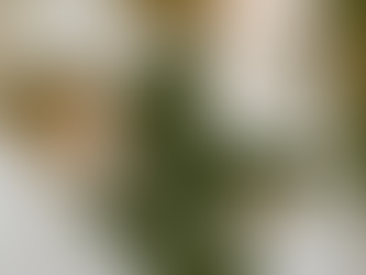 Lily Lyons is Learning to Hold Every Version of Herself