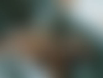 Sex as Social Cachet: Why Our Generation is Having Sex and Not Enjoying It