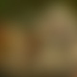 “Please Save Me…”: ‘The Voice Of Hind Rajab’ At LPFF