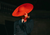 Schiaparelli: The Past Reimagined Though Roseberry’s Eyes 