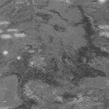 liquid-grey-close-jpg.webp