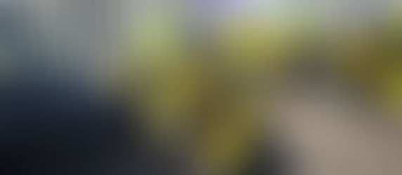 LEBBS Blood Bikes: Delivering Critical Medical Supplies Across Lincolnshire & Beyond