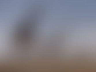 African Safari Travel Story: How the Continent Shaped Me