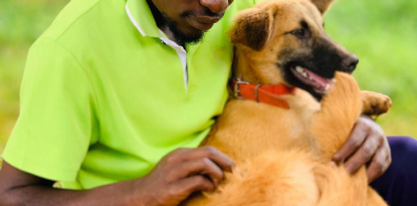 Buwekula Dog Lovers Rescue dog 