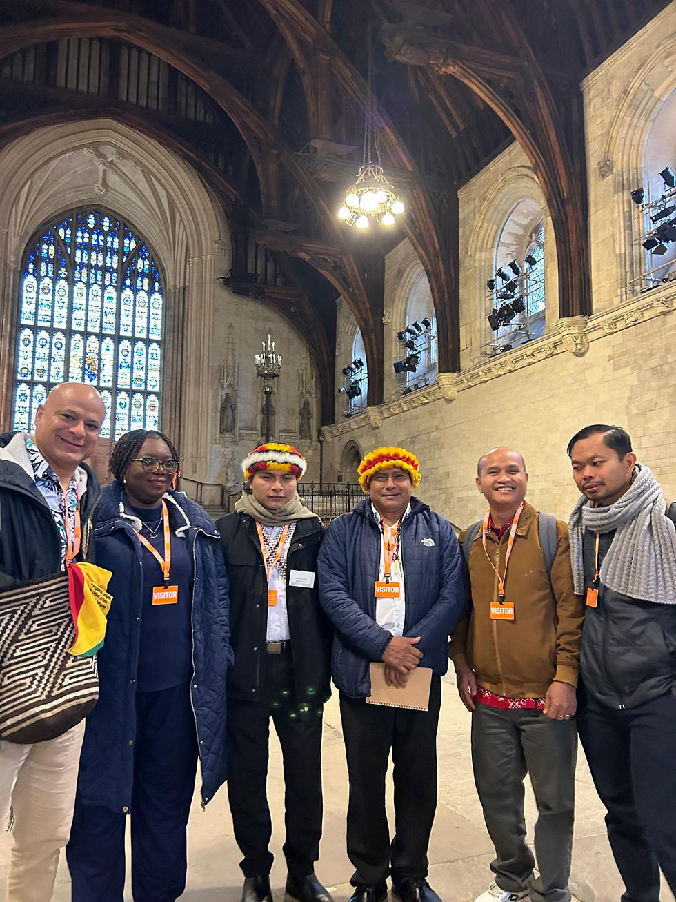 Human Rights Defenders from Colombia, Indonesia, Liberia, Mexico and Peru