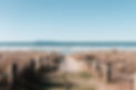 Beach path 5 pref.jpg