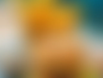 The Community Grill: Bringing Frisco Together, One Meal at a Time