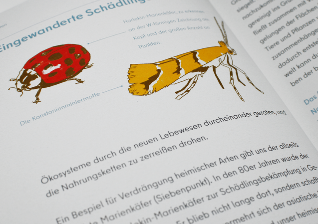 Broschüre Der Natürliche Garten Illustration Bepflanzung